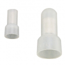 자이안트록 접속자